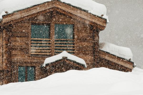1951年属兔人2024年全年运势详解  73岁生肖兔2024年每月运势