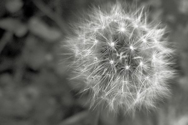 84年鼠明年犯太岁吗，属鼠2024年运势如何