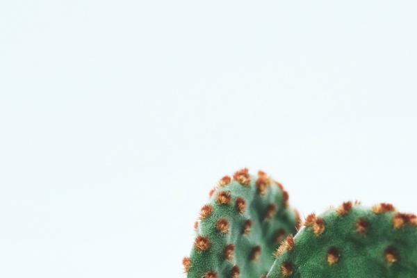 生肖马相生相克相冲表 属相相冲化解方法