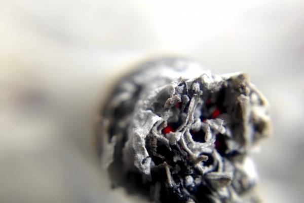双子女最近桃花运势如何，如何提升桃花运