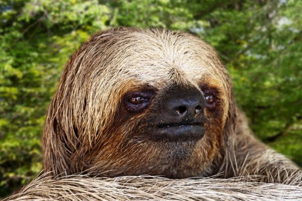 属龙本命年一定不顺利吗，本命年如何转运