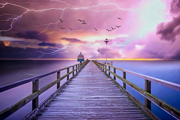 6月烂桃花最多的生肖2024年 生肖狗感情波折多烂桃花