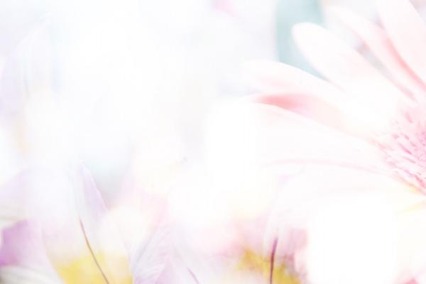 81年属鸡40岁以后婚姻 事业和健康运势分析