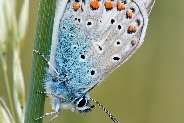 2024生闺女的生肖 三大适合生龙女孩的生肖 2024生闺女的生肖 三大适合生龙女孩的生肖