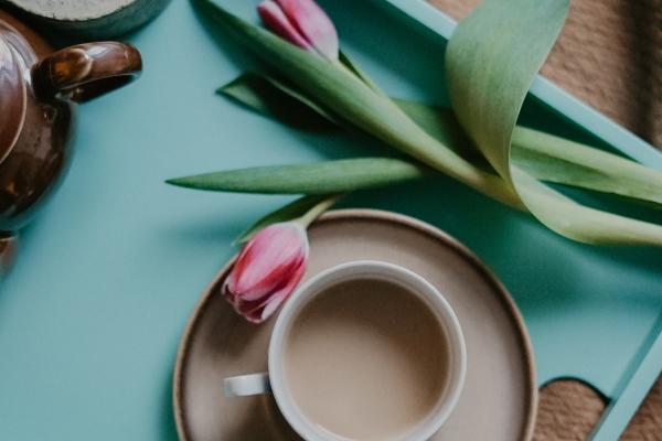 2月婚姻运最好的生肖2024年 牛狗虎迎来婚姻运的美好时机