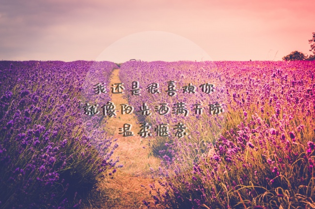 第一运程 2023年11月8日十二生肖运势解析 第一运程 2023年11月8日十二生肖运势解析