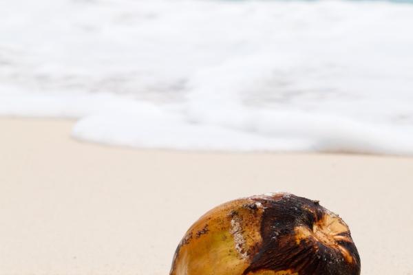 73年牛女一生婚姻上有几大劫难，如何化解