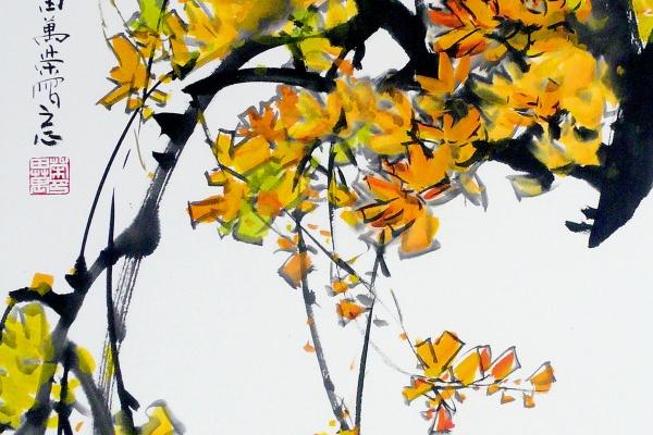 2024年哪些生肖好运 财运连连运势好好