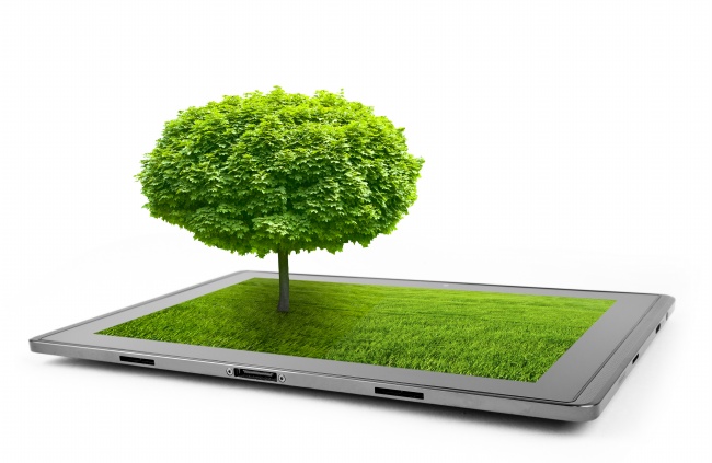 2024年十二生肖运势排名 四个转运方法