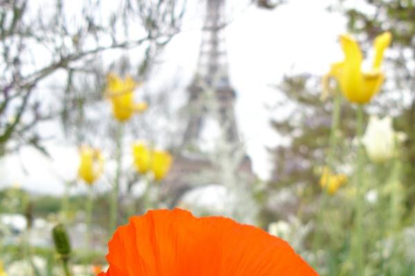 属羊45岁逢九年怕见白事不，属羊逢九年需要注意什么