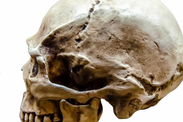 第一运程 2023年11月1日十二生肖运势解析