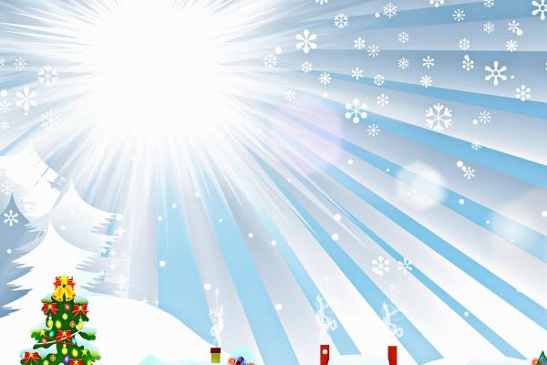 生肖鸡2024年学业 属鸡人的整体运势