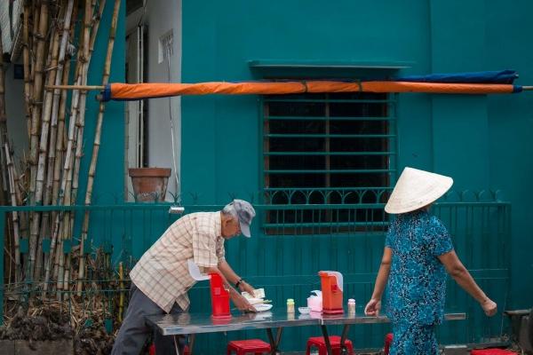 属蛇的人养什么植物最好，适合属蛇人的旺财植物