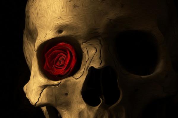 1993最旺属鸡人的5个数字 93年属鸡人最好车牌组合 1993最旺属鸡人的5个数字 93年属鸡人最好车牌组合