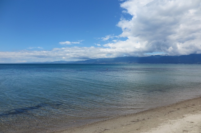 2024年属牛人的禁忌色，属牛最忌讳什么颜色