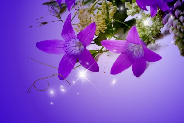 属虎过了48岁就顺了 事业稳定家人感情升温