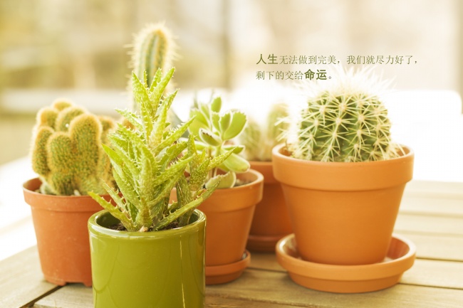 1986年属虎幸运数字 86年属虎人吉祥颜色 1986年属虎幸运数字 86年属虎人吉祥颜色