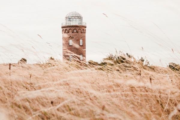 属龙的生在腊月命很苦，体现在哪里