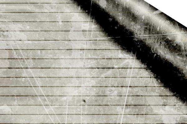 2024什么生肖什么命 2024年属龙人的命运 2024什么生肖什么命 2024年属龙人的命运