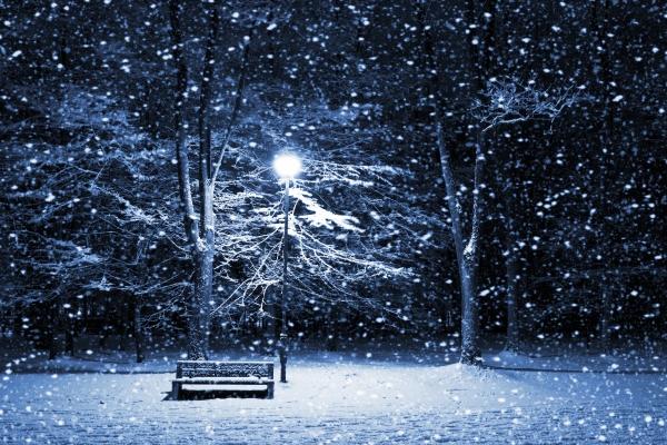 1984属鼠的幸运数字 属鼠人一生运势怎样