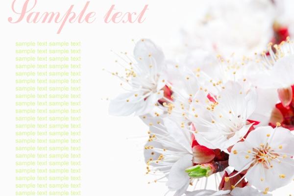 1977年属蛇46岁后好惨,会遇到哪些问题 1977年属蛇46岁后好惨,会遇到哪些问题