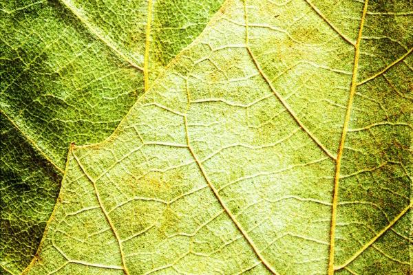 2024年哪些属相不太好 生肖兔要小心感情危机 2024年哪些属相不太好 生肖兔要小心感情危机