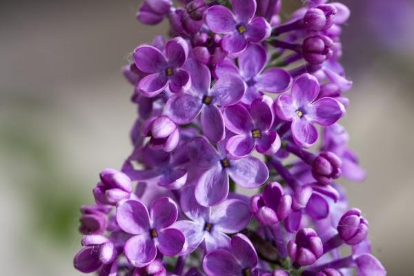 属马1978年45岁走大运 属马45岁以后运势