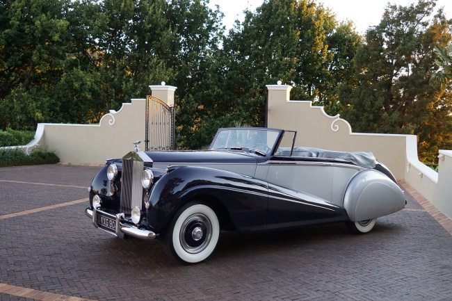 2024年各生肖事业运势 浅谈生肖事业运势分析