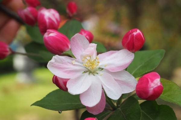 1965属蛇的今年下半年的运气，65年蛇2023年下半年运势好不好