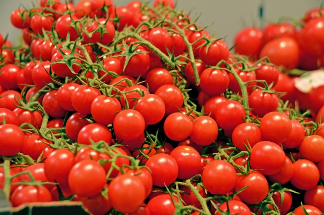 1985年属牛女适宜做什么生意 属牛人贵人