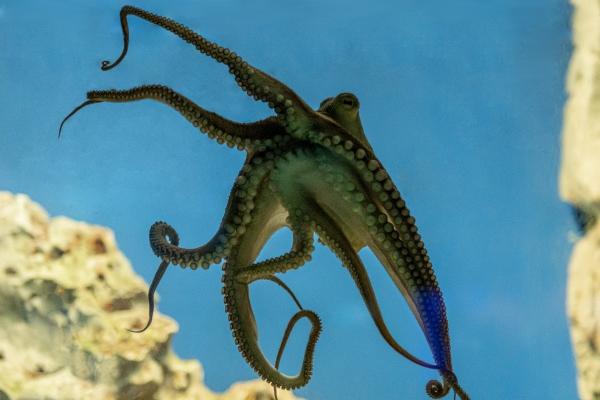 2024年1月出生的宝宝是什么命，命运怎样