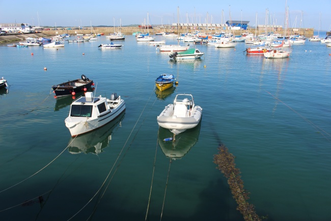 2024属兔人全年度运势怎样 属兔必须好好理财