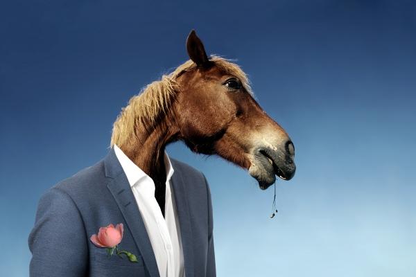 怎样破解本命年的不顺 消灾抵祸的一些方法