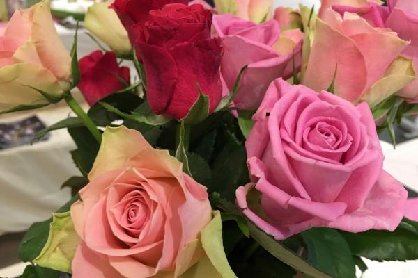 2023年犯太岁动土了怎么办,2023年不能动土的属相有哪些 2023年犯太岁动土了怎么办,2023年不能动土的属相有哪些