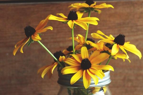 属虎人过去了36岁两喜 事业上涨感情深