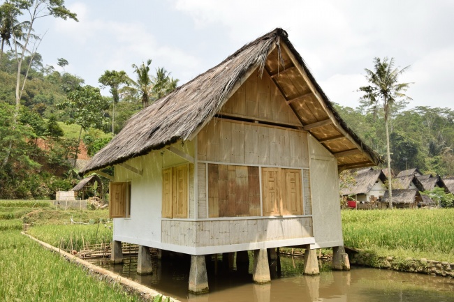 2024午属什么生肖呀 属龙小宝宝的将来运势 2024午属什么生肖呀 属龙小宝宝的将来运势