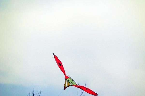 猴属相2024运势年运势 属猴人2024年各月运势剖析