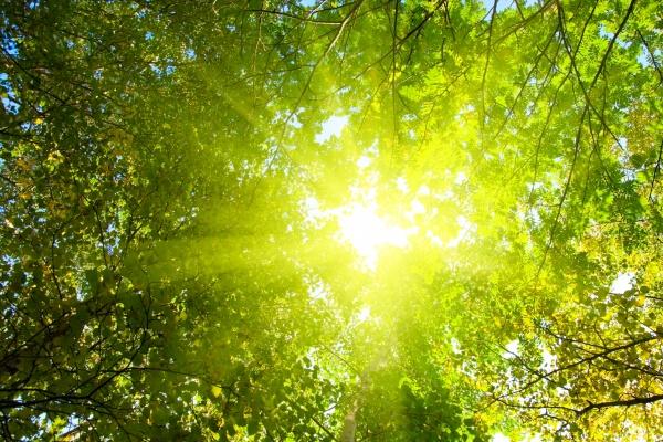 2023年属蛇女助运颜色 配戴什么装饰品旺事业