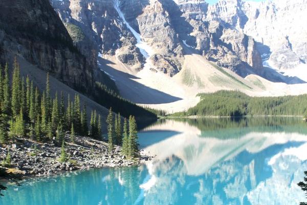 2024年1月兔一等命,2024年1月出生的属兔人命运如何 2024年1月兔一等命,2024年1月出生的属兔人命运如何