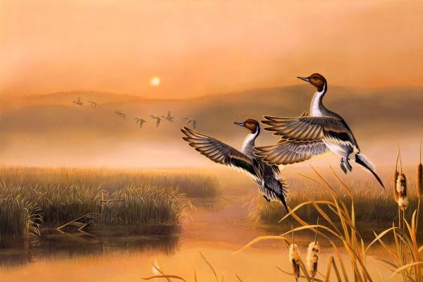 本命年犯桃花运是什么意思 本命年犯桃花的影响