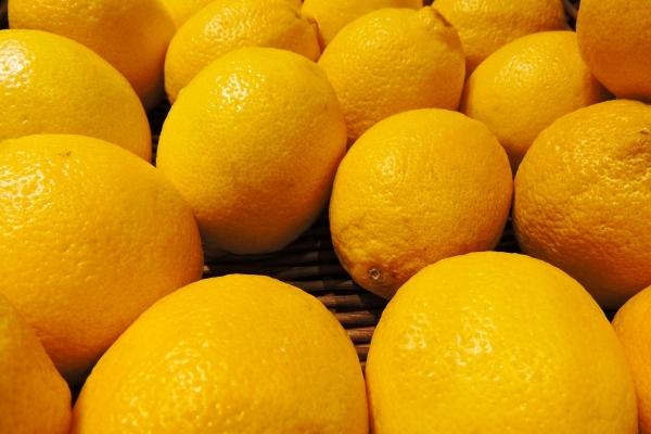 2024年各生肖运气怎样 揭密属相运势