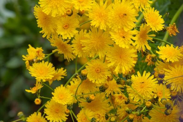 1984属鼠人40岁之后能够有孩子吗，生什么属相的孩子最好是