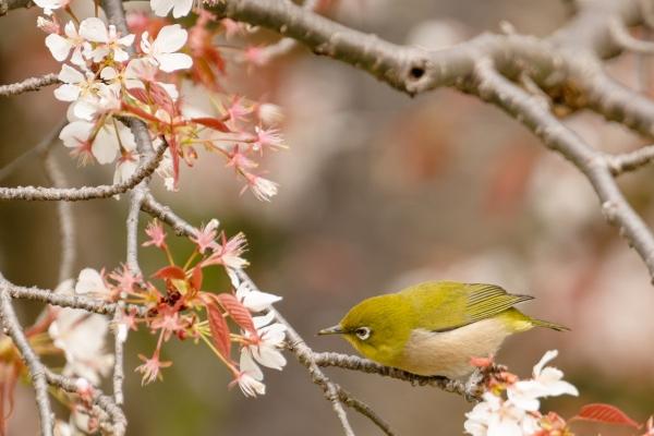 2024高考什么属相会金榜提名 龙年逢考必过的生肖