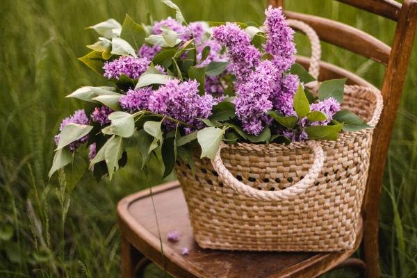 龙跟兔子属相配吗 龙跟兔子在一起会怎么样