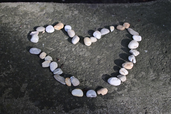 虎和啥属相相冲 属虎人跟谁相冲