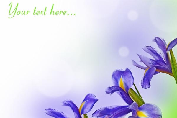 属马的幸运数字 东陵玉有哪些作用