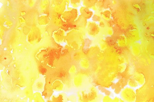 82狗和88龙的婚姻怎么样 龙狗爱情配对