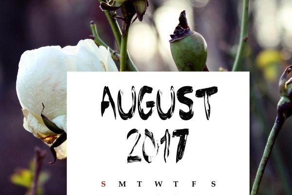 女大三岁女属虎男属蛇如何化解 虎蛇犯冲该怎么办