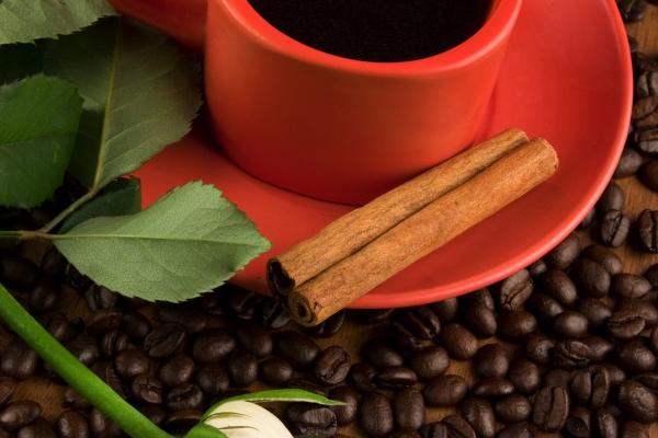 2024清明节冲什么生肖 清明节当日艮卦剖析