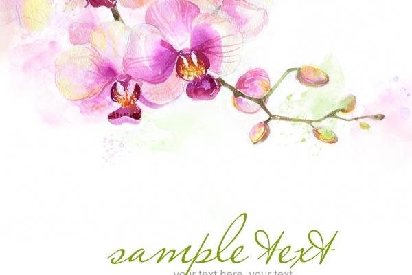 属马女和属牛的婚姻怎样 怎样化解马牛感情问题